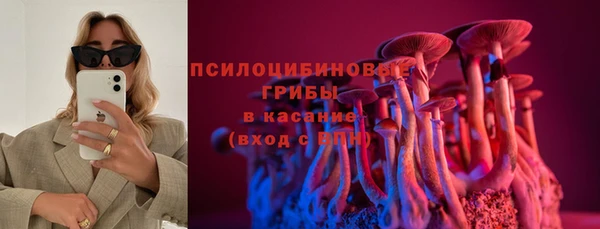 соль ск Вяземский