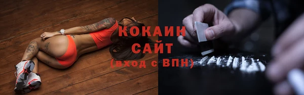 шишки Вязьма