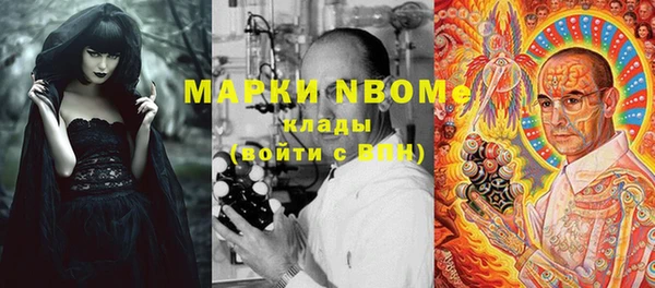 соль ск Вяземский