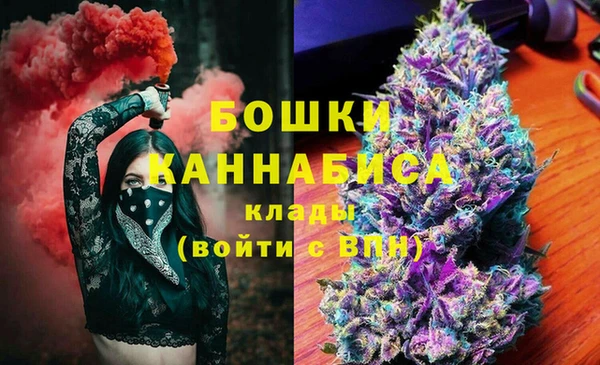 шишки Вязьма