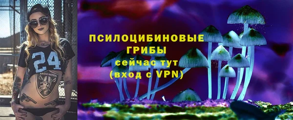 ECSTASY Вязники