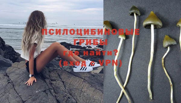 шишки Вязьма